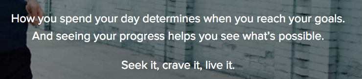 Fitbit Manifesto